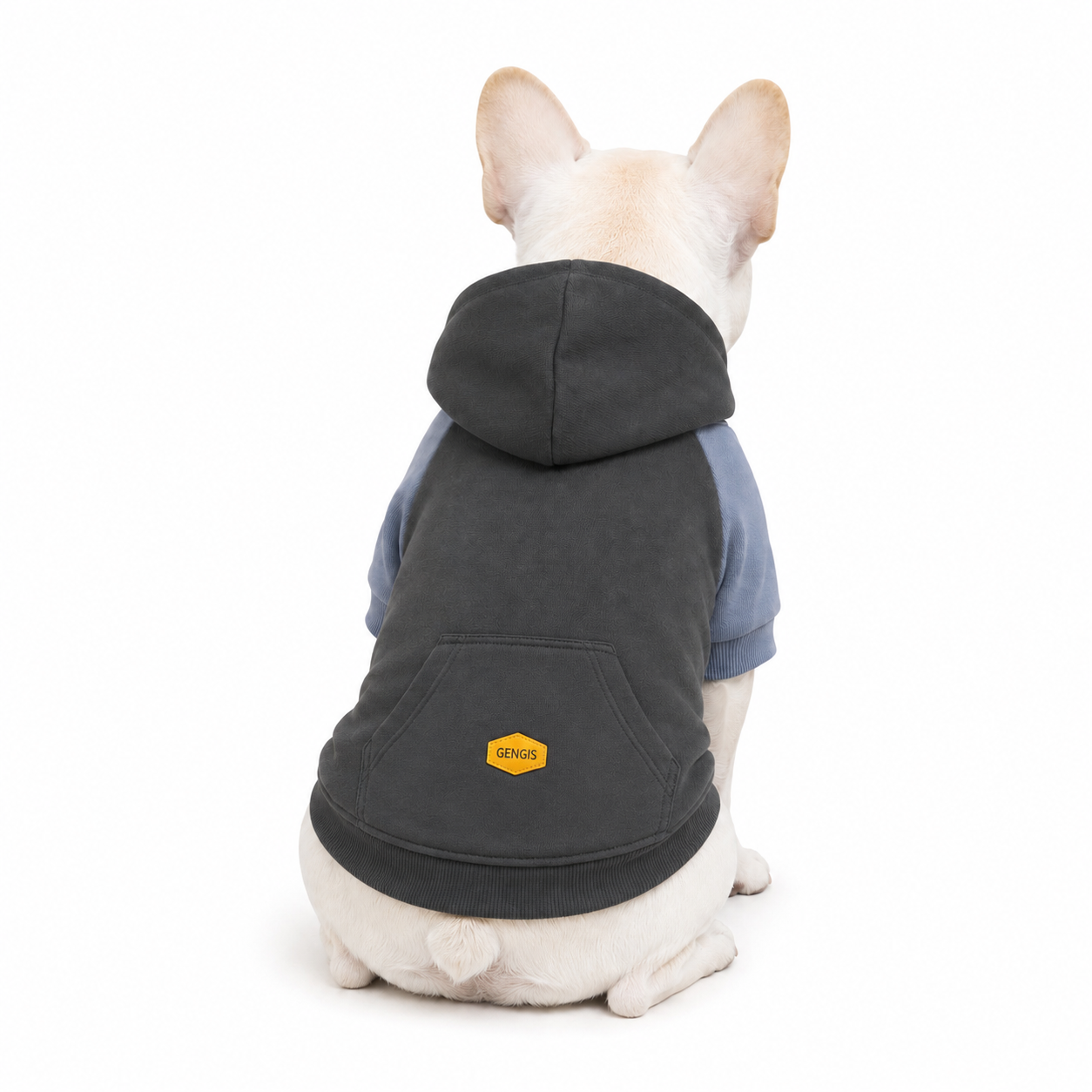BUZO HODDIE Azul - M - para perro - Imagen 2
