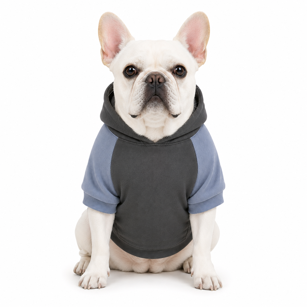 BUZO HODDIE Azul - M - para perro